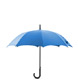 Umbrella Programs
