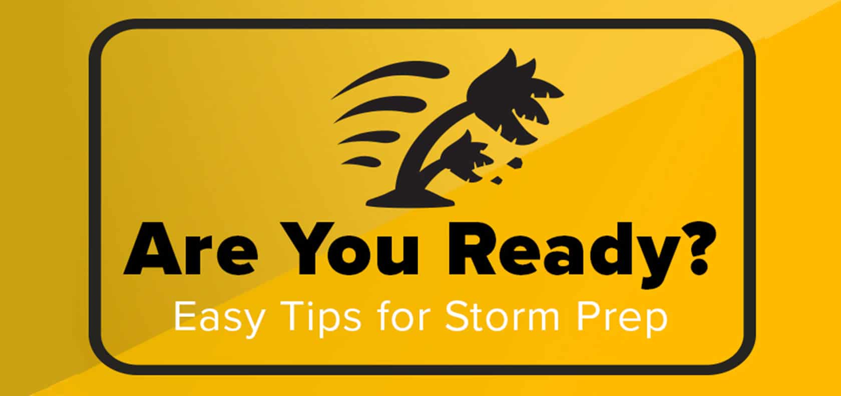 Tricks to be prepared for a storm. Palm trees moving abruptly by the force of the wind.