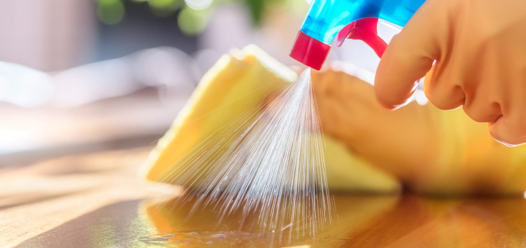 Cleaner with disinfectant spray, ballot and gloves.