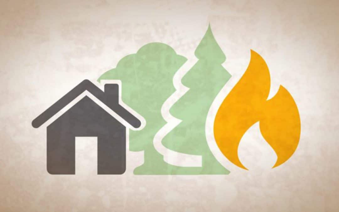 Wildfire: Protection Tips