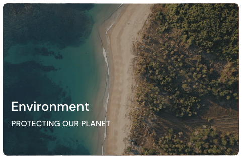 Environment