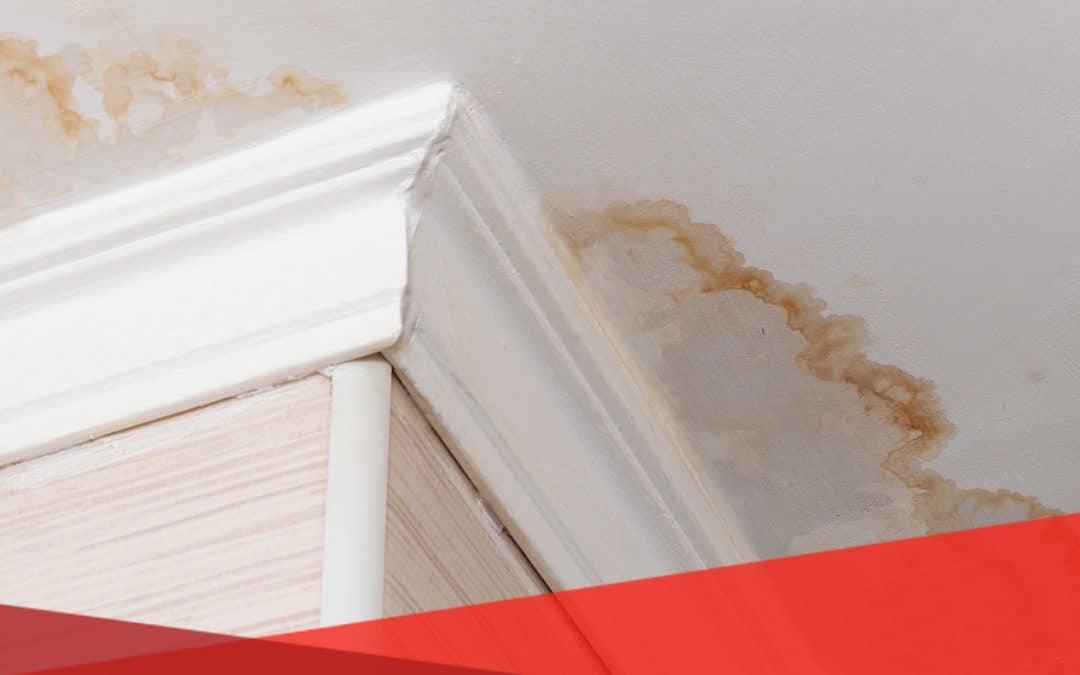 Key Differences Between Water Damage and Flood Damage