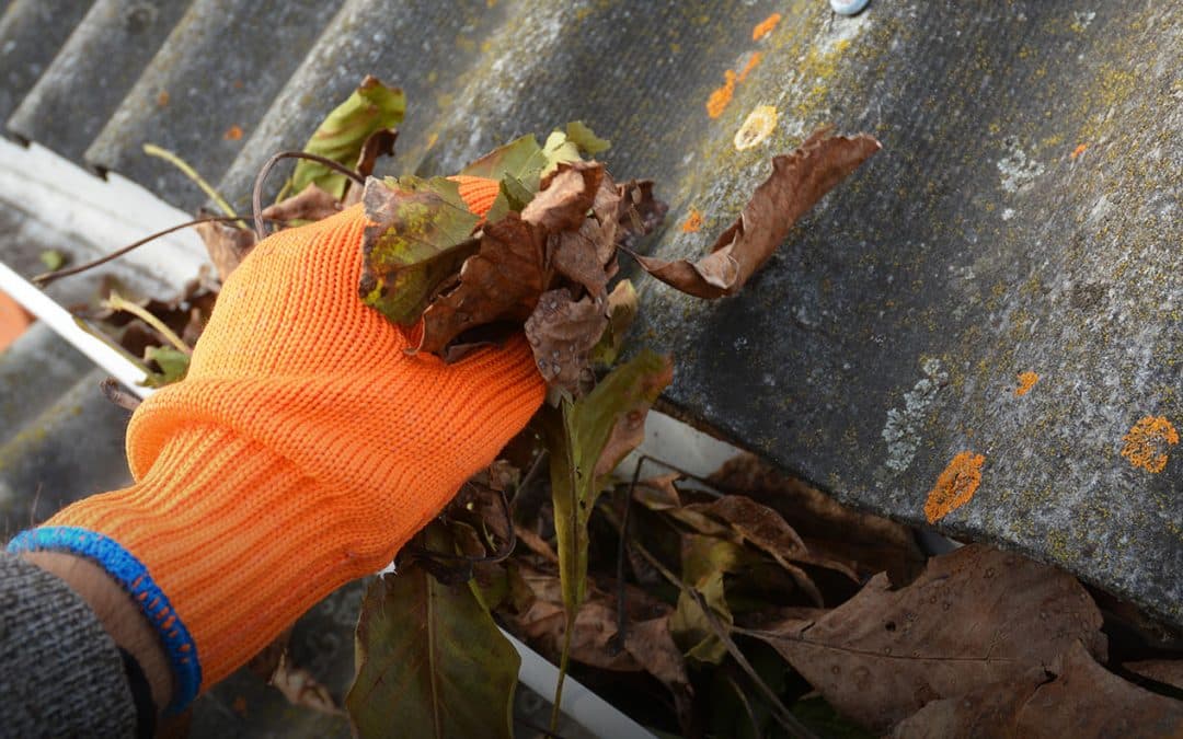 Roof Gutter Cleaning Safety Tips