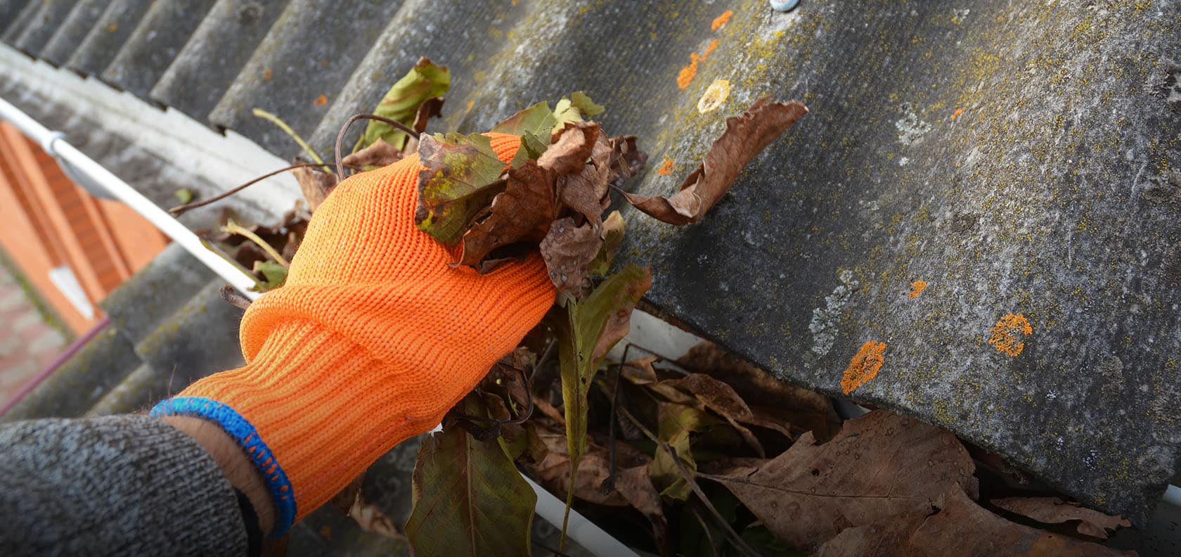 Gutter Cleaning Swansea