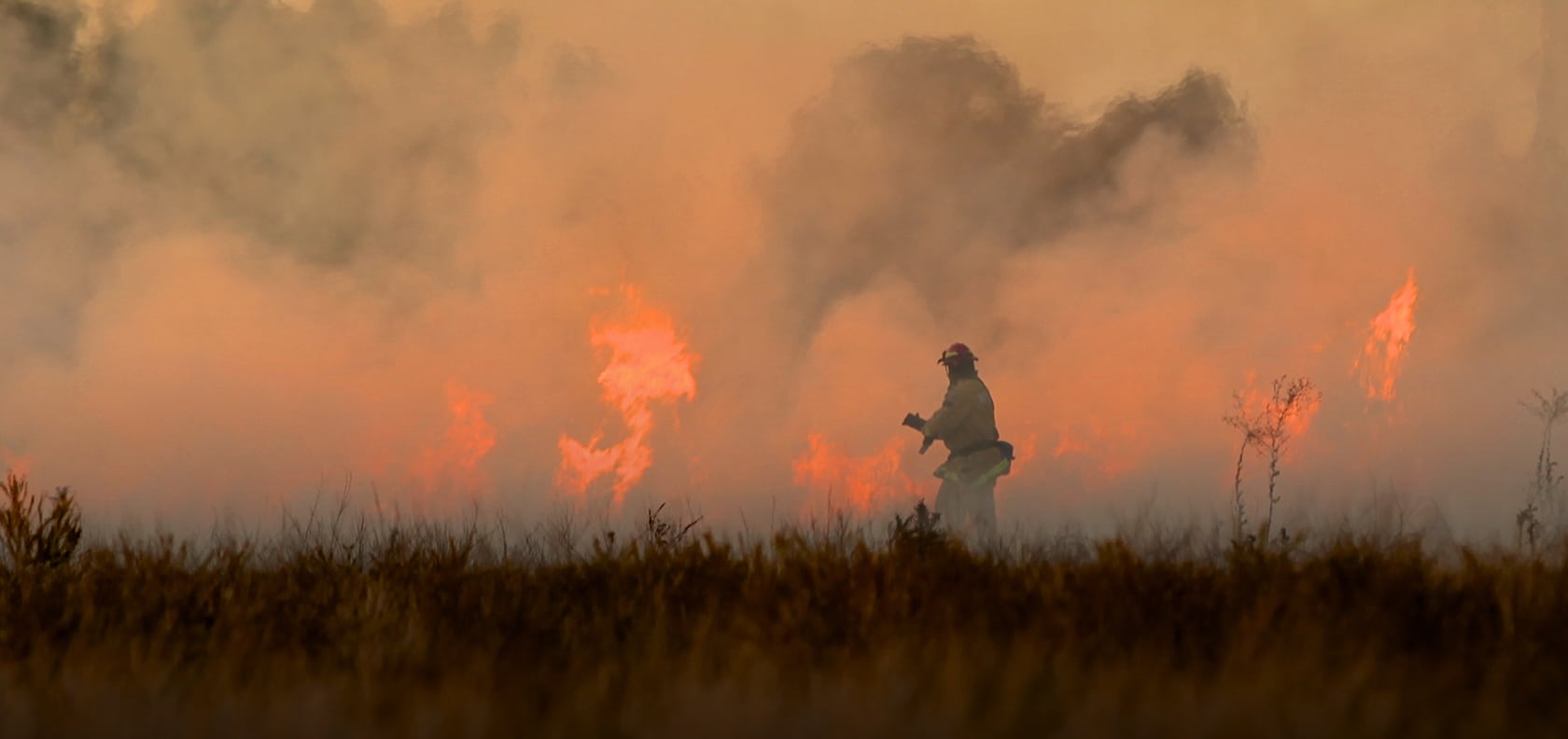 Wildfire_Blog-Feature