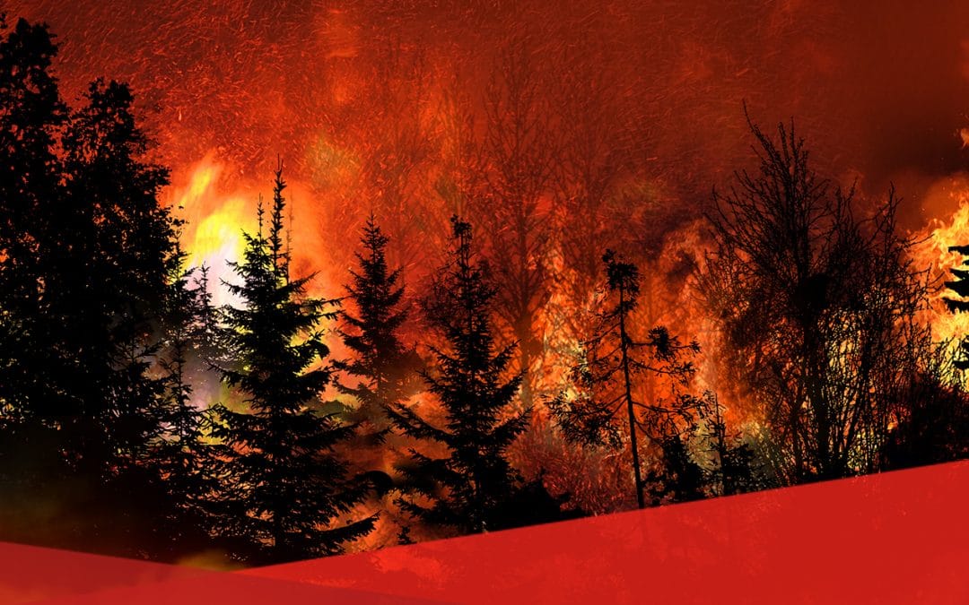 Protecting Yourself and Property From Wildfires