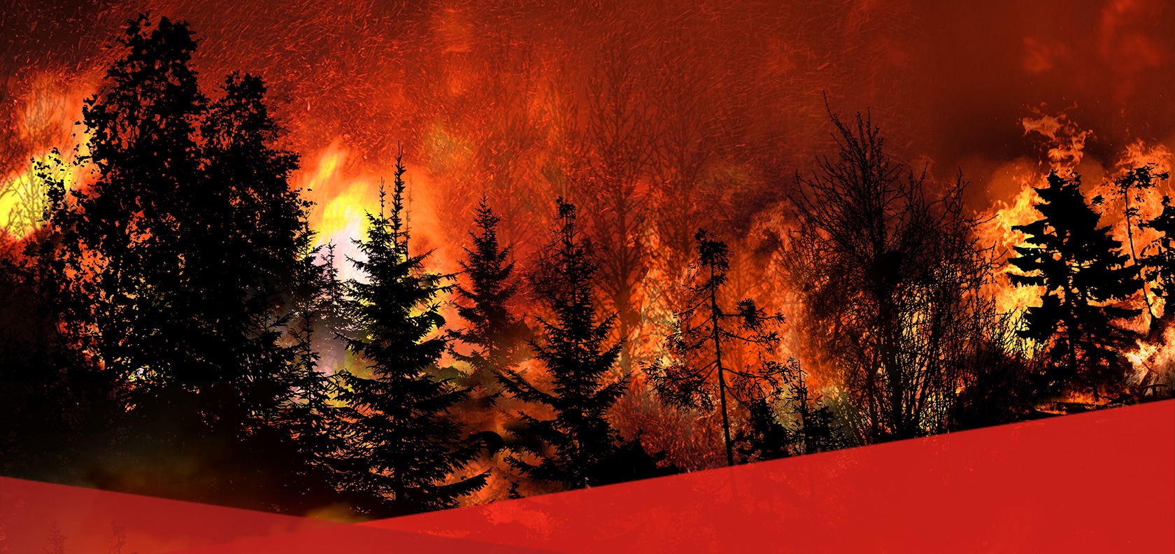 Wildfires_Blog-Feature