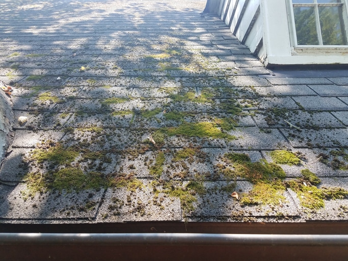 Top tips to extend the life of your roof