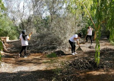 Global Volunteer Day - event